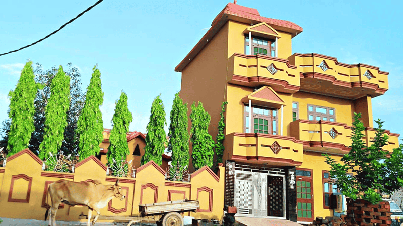Texture paint house front design